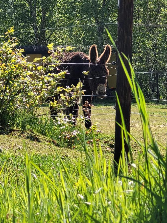 Hotel Slapen Tussen De Ezels In De Yurt Aarschot Exterior foto